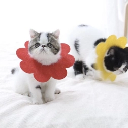 Mäkký pooperačný ochranný golier pre domáce zvieratá, červený – veľkosť L