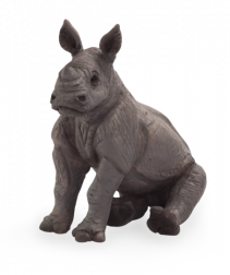 Mojo Nosorožec mláďa sediaci