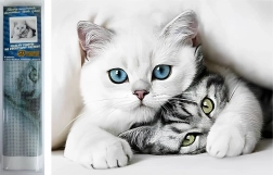 Diamantové maľovanie Mačacie tajomstvo 30 × 40 cm Norimpex