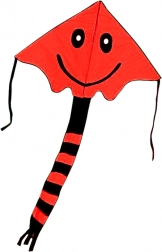 Lietajúci šarkan s úsmevom 80 × 60 cm