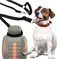 Autopás pre psa a mačku