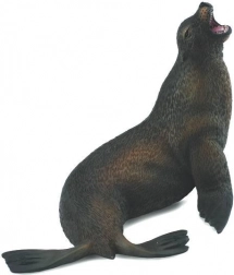 Lvoun hrivnatý Collecta