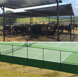 Zastieracia a súkromná plotová sieť 1,5 × 25 m, zelená, 60 g/m²