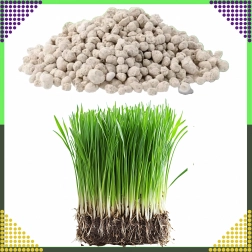 Viaczložkové hnojivo na trávnik NPK 20-8-10 granulát 10 kg