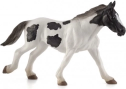 Mojo Írsky tinker ročné žriebä