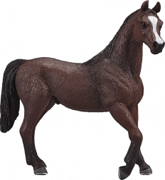 Mojo arabský žrebec