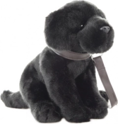 Plyšový labrador s vodítkom 30 cm – eco friendly