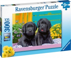 Ravensburger puzzle Puppy Life 300 dielikov