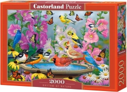 Puzzle 2000 dielikov Rhythm of Nature