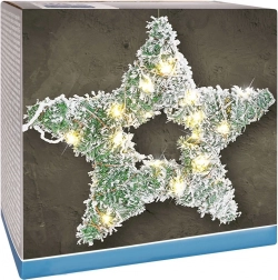 Svietiaca hviezda s LED, 58 cm, zasnežená borovica