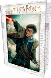 3D puzzle HARRY POTTER – Harry, 300 dielikov