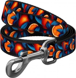 Nylonové vodítko pre psov s motívom Pomaranče 122 cm Waudog