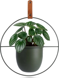 Zelený kovový závesný obal na kvetináč Home Styling Collection 30 × 30 cm