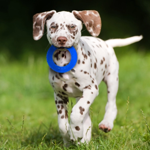 Kontrastné farby pre jednoduché sledovanie