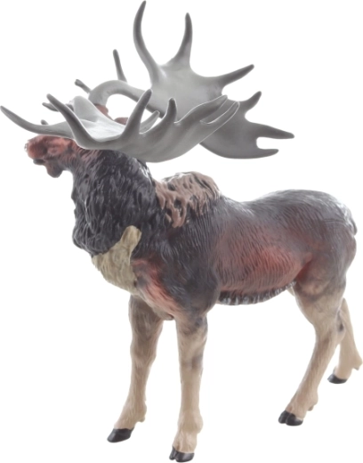 Stabilný postoj a bezpečné rozmery