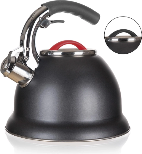 Nerezová pískacia kanvica ADVANTAGE 2,7 l