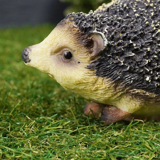 Odolná voči počasiu po celý rok