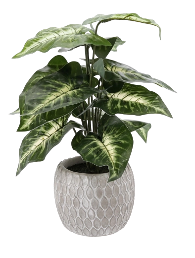 Bezúdržbová celoročná dekorácia