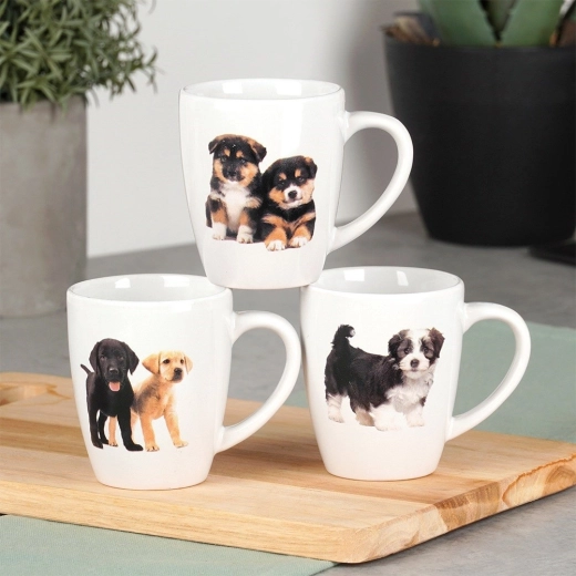 Bezstarostná údržba: umývačka aj mikrovlnka