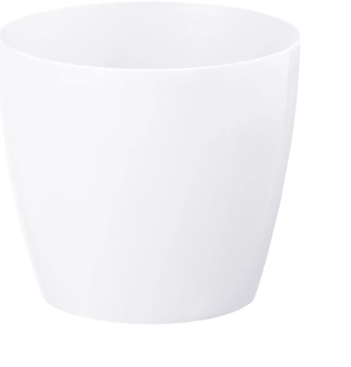 Obal Magnolia biely 210 mm