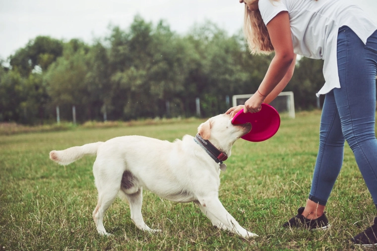Vysoká viditeľnosť v parku aj vo vzduchu