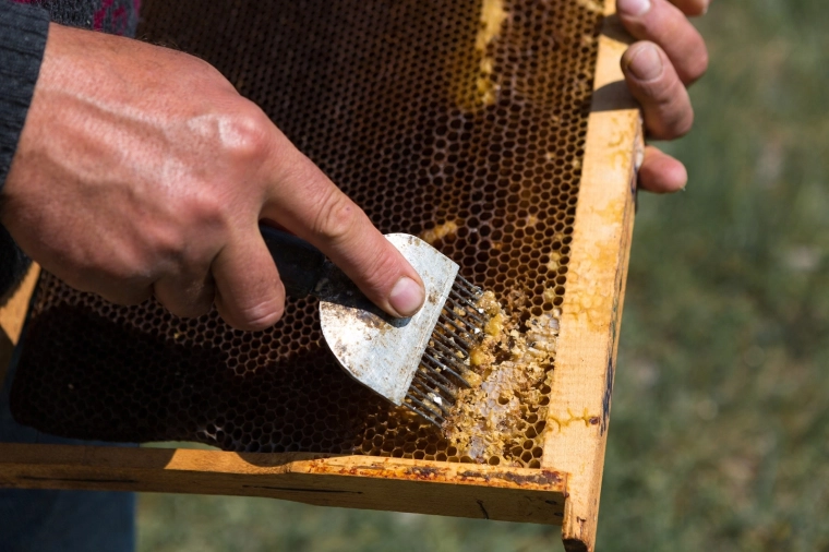 Precízne nehrdzavejúce hroty pre čisté odviečkovanie