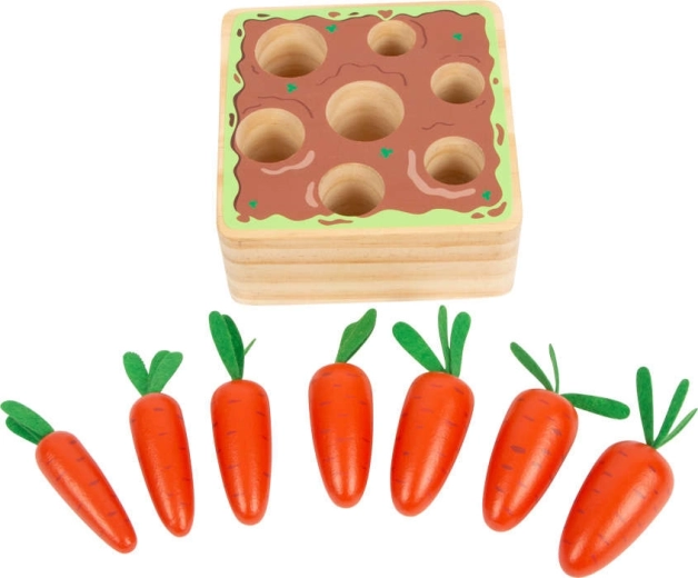 Sedem mrkiev rôznych veľkostí