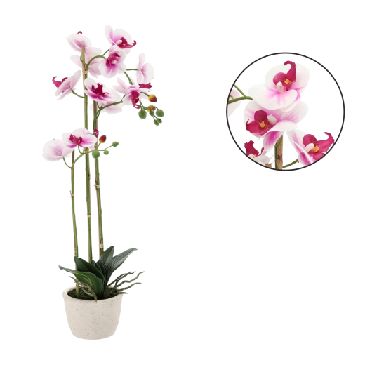 Umelá orchidea bielo‑ružová 70 cm v kvetináči