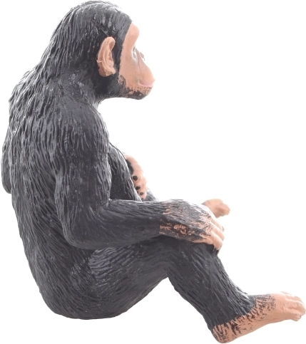 Skvelé na vzdelávanie a kreativitu