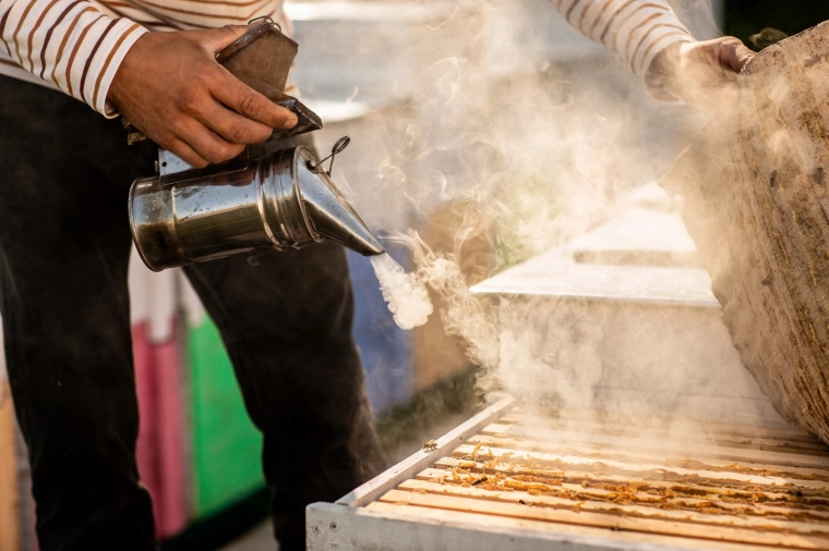 Presné upokojenie včiel pri prehliadke úľa