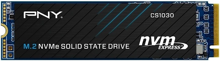 SSD disk 256 GB CS1030 M.2 2280 PCIe bulk - 1 kus