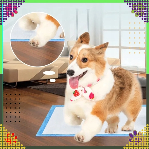 Veľký formát pre pohodlie a istotu