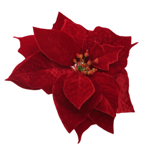 Elegantná bordová pre sviatočnú atmosféru