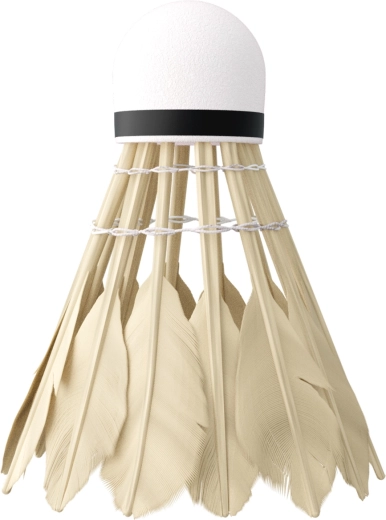 Stabilný a rýchly let vďaka kačacím perám