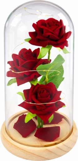 Elegantná sklenená kupola