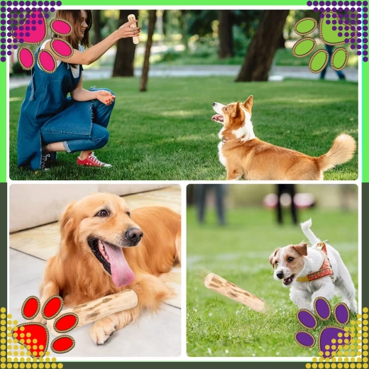 Zábava doma aj vonku