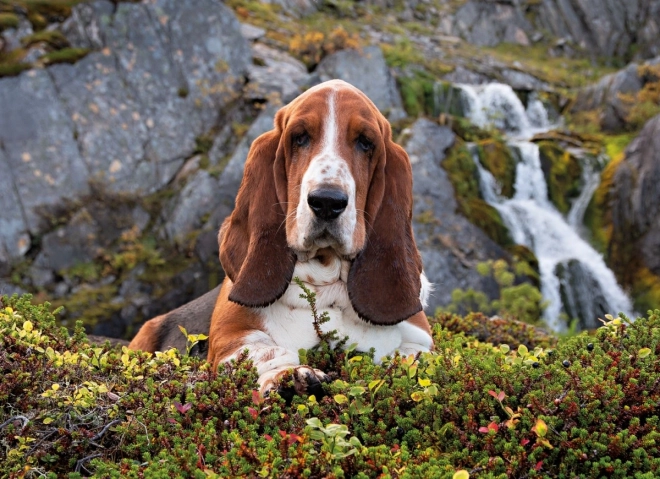 1000 dielikov pre radosť aj tréning koncentrácie