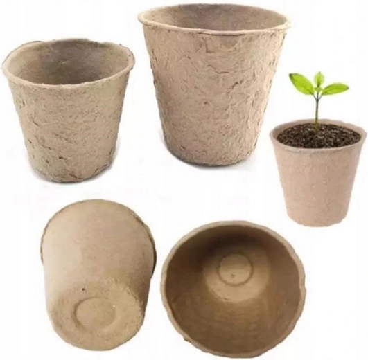 Zdravý koreňový systém