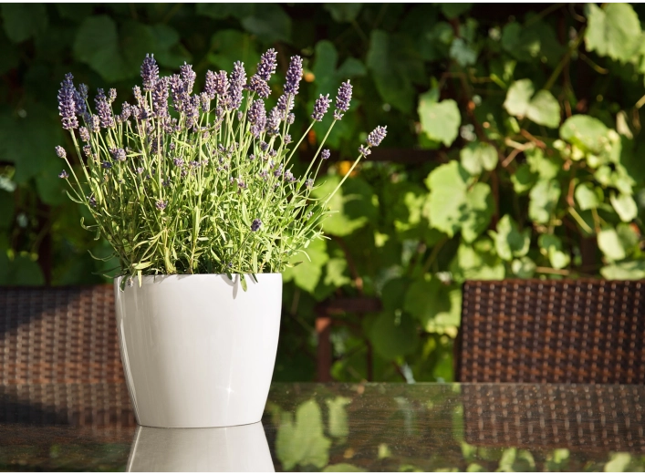 Vhodná do interiéru aj exteriéru