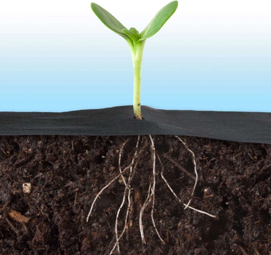 Lepšia mikroklíma a silnejšie korene