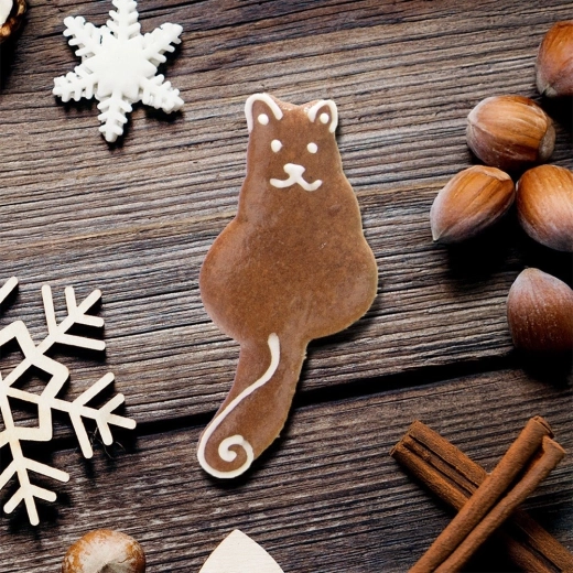 Kreatívne zdobenie na sviatky aj po celý rok