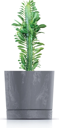 Moderný betónový efekt v krémovej farbe