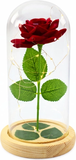 Elegantná ochranná kupola