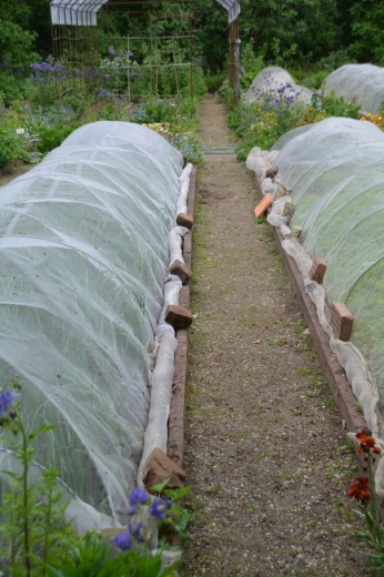 Účinný štít proti vetru a škodcom