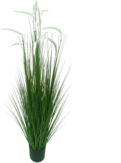Umelá tráva v kvetináči Pennisetum biela 150 cm
