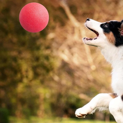 Odolná plná guma na intenzívne žuvanie