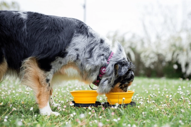 Rýchle použitie kdekoľvek