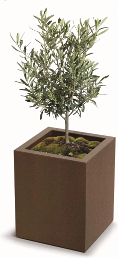 Integrovaná vložka pre jednoduchú výsadbu