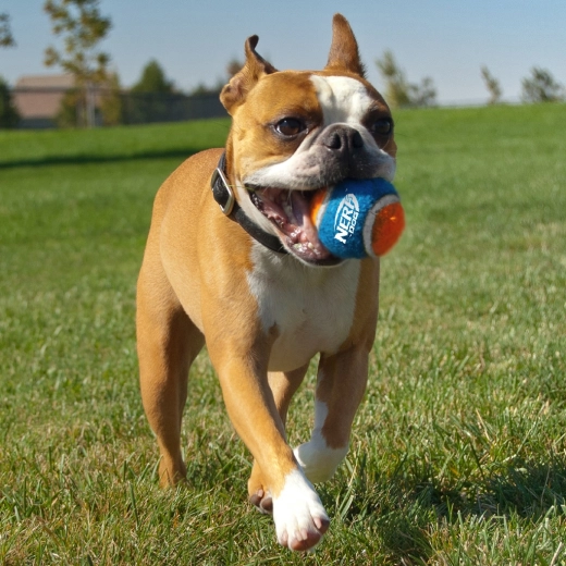 Vysoká odolnosť a skvelý odraz