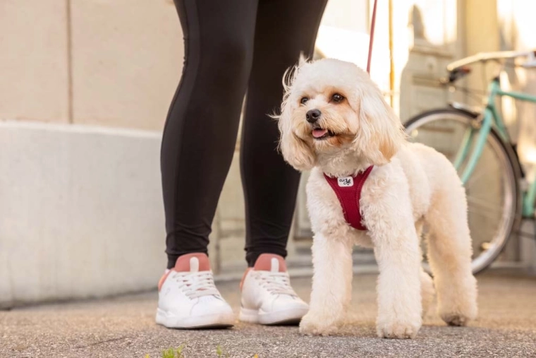 3D Comfort fit: pohodlie bez tlaku na krk